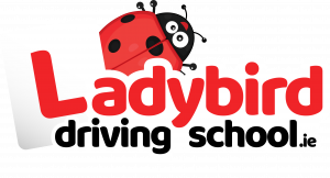 Ladybird Driving School logo
